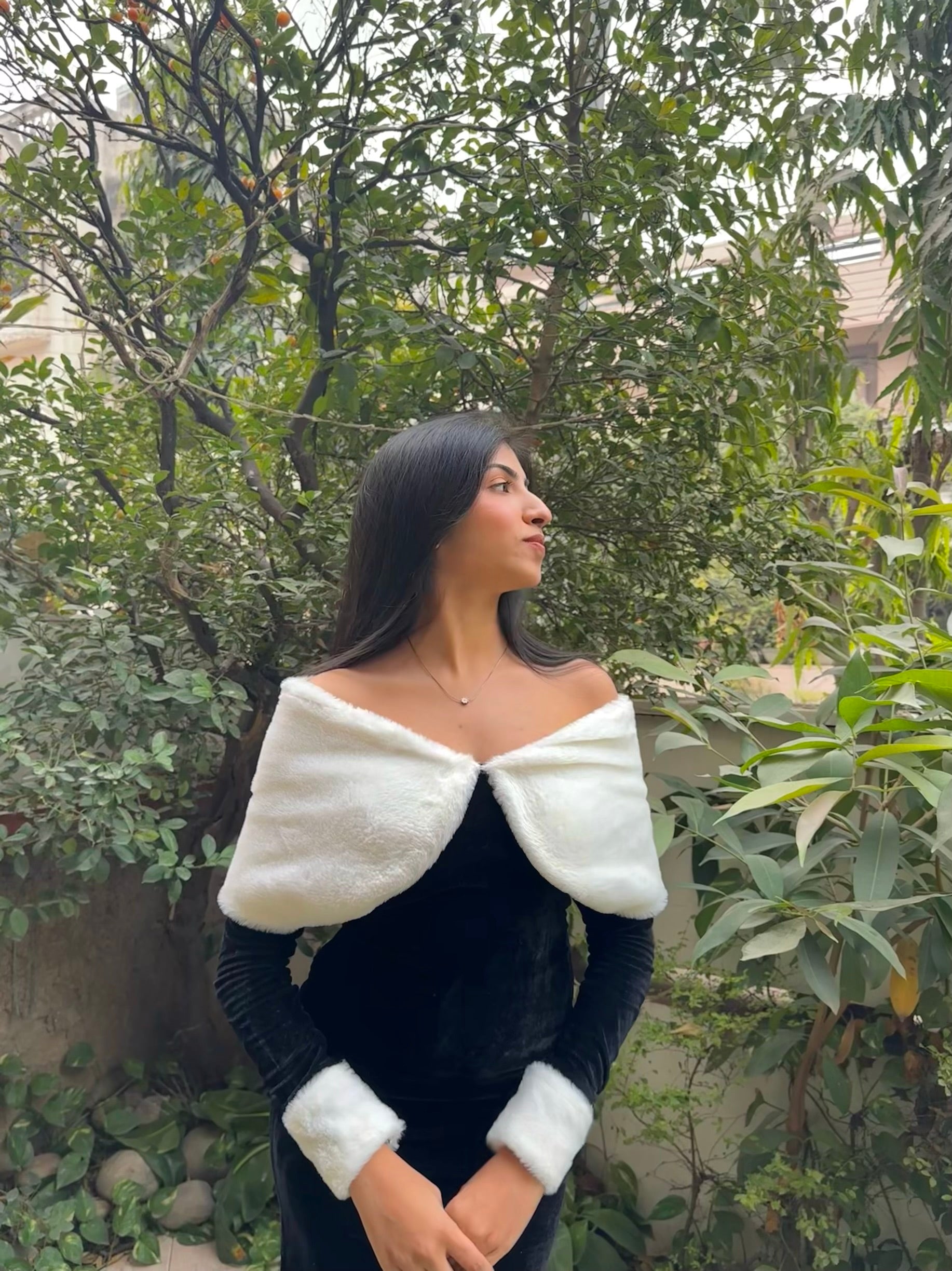 Frosty Fur Dress