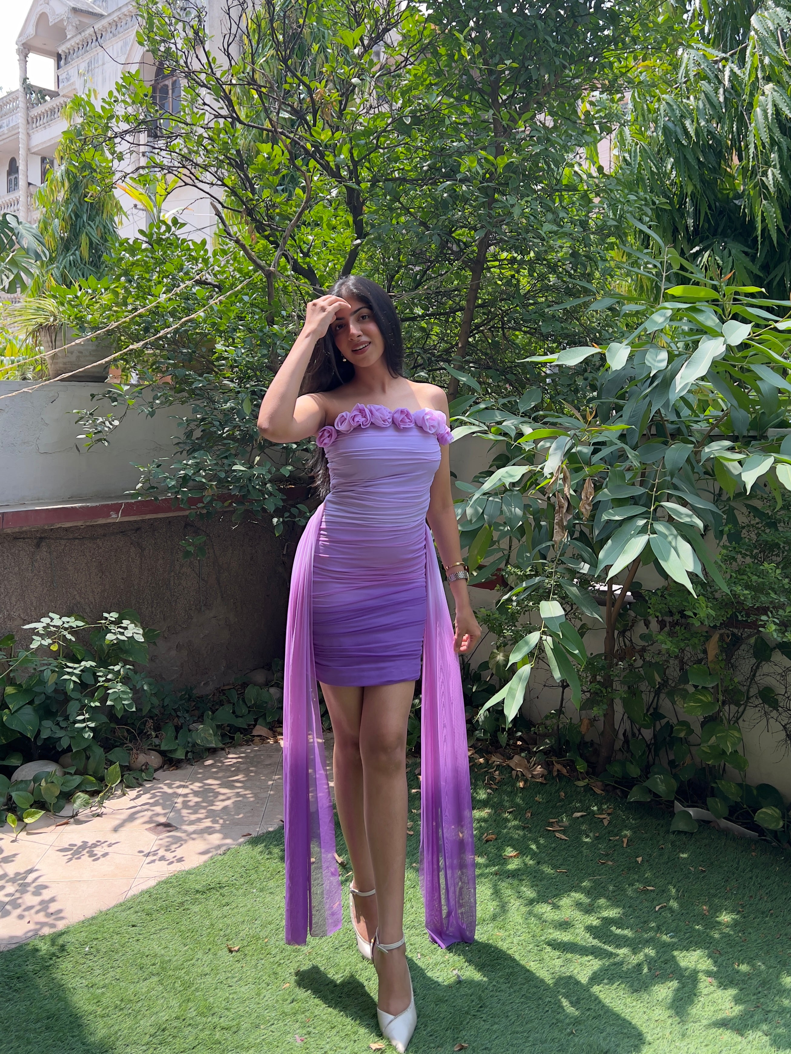 Orchids: purple ombre